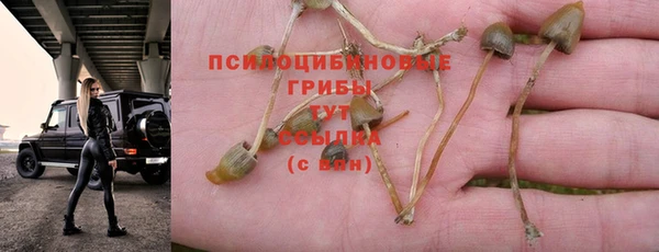 спиды Бронницы