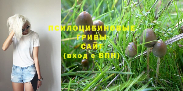 спиды Бронницы