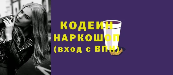 бошки Бородино