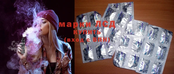бошки Бородино