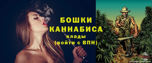 бошки Бородино